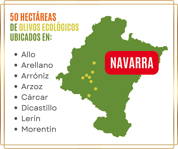 50 hectáreas de olivos ecológicos en Navarra