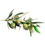 Aceite de oliva virgen extra ecológico variedad arbequina