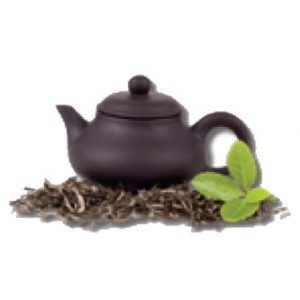 Té Combucha